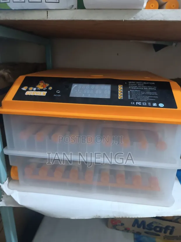 Used Egg Incubator - 128 Egg Capacity - 1