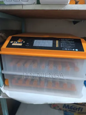 Used Egg Incubator - 128 Egg Capacity