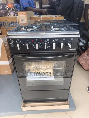 Ailyons 3+1 Standing Cooker 50x55
