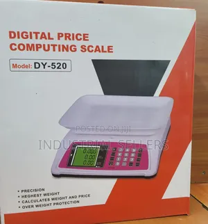 DY-520 High Accuracy Weighing Scale
