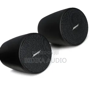 Bose FS2P 16W Pendant Speaker