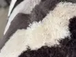 Carpet ya Chevron Fluffy - 2