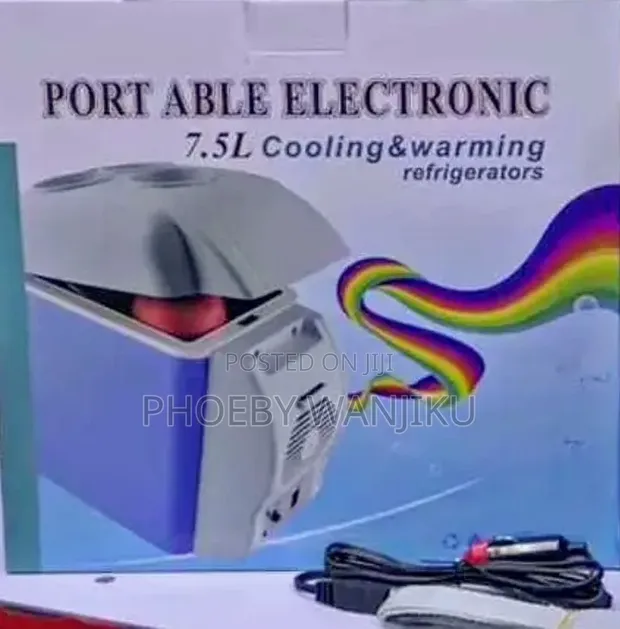 Portable Mini Car Fridge - 1