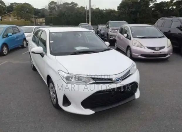 Toyota Axio 1.5 Hybrid 2WD 2020 White - 1