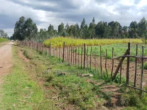 Eneo la Eka 5 kwa Uuzaji, Kasuku Weru, Kaunti ya Nyandarua