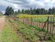 5 Acres Land for Sale, Kasuku Weru, Nyandarua County - 1