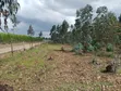 5 Acres Land for Sale, Kasuku Weru, Nyandarua County - 4