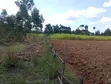 5 Acres Land for Sale, Kasuku Weru, Nyandarua County - 5