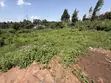 Kitalu cha Gikambura 50x100 Kinauzwa katika Eneo la Makazi Lenye Ulinzi - 2
