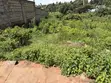 Kitalu cha Gikambura 50x100 Kinauzwa katika Eneo la Makazi Lenye Ulinzi - 3