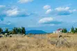 Plainsview Gardens Malaa - 50x100 Plots with Ready Title Deed - 4