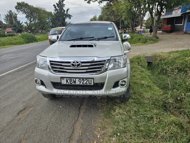 Toyota Hilux 2010 Silver - 1