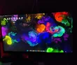 Samsung 24" OLED Monitor (Refurbished) - 3