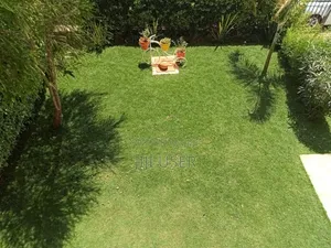 Pemba Grass