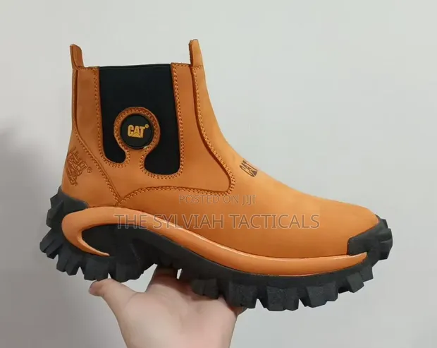 Viat Vya Nje vya Tactical vya Maji kwa Paka - 1