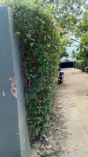 Galu Beachfront 1/4 Acre Plot - 100m from Sea
