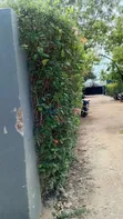 Galu Beachfront 1/4 Acre Plot - 100m from Sea - 1