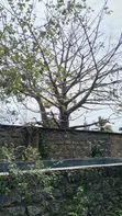 Galu Beachfront 1/4 Acre Plot - 100m from Sea - 4