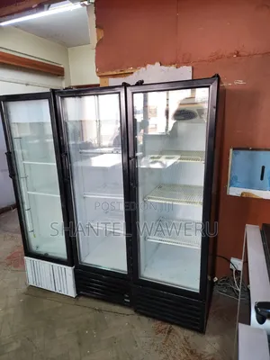 Friji la Kuonyesha Nyeusi 300L