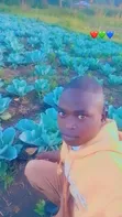 Sales Person - Temporary Job - 1