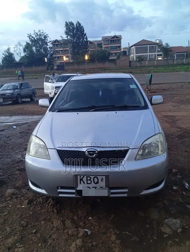 Toyota Corolla RunX 1.5 X AWD 2004 Silver - 1