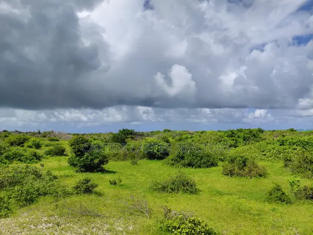 12 Acres Beachfront Plot for Sale - Jacaranda, Near St. Thomas - 1