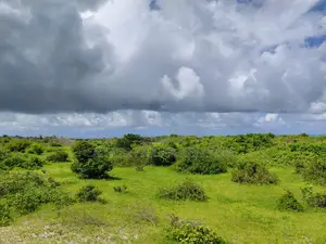 12 Acres Beachfront Plot for Sale - Jacaranda, Near St. Thomas