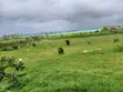 12 Acres Beachfront Plot for Sale - Jacaranda, Near St. Thomas - 4