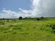 12 Acres Beachfront Plot for Sale - Jacaranda, Near St. Thomas - 5