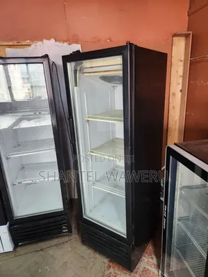 Chiller Nyeusi ya Lita 300 Inafanya Kazi