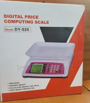 DY-520 Digital Price Computing Scale