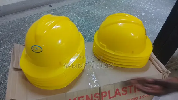 Professional Blue Construction Helmet - 1