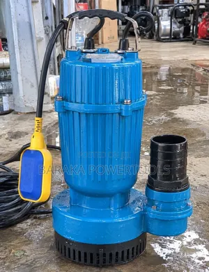 Premier QDX 3hp Submersible Water Pump