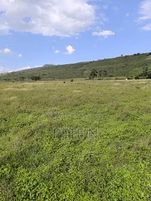 5 Acres Mbaruk, Nakuru - Quick Sale