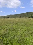 5 Acres Mbaruk, Nakuru - Quick Sale - 1