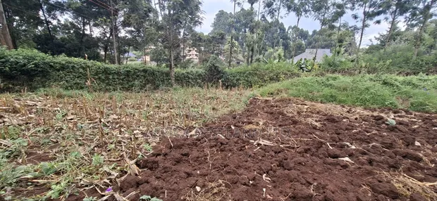 Kitalu cha Makazi cha 50x100 kwa Uuzaji - Kinoo, Muthiga Kihumo - 1