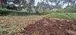 50x100 Residential Plot for Sale - Kinoo, Muthiga Kihumo - 1