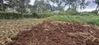 50x100 Residential Plot for Sale - Kinoo, Muthiga Kihumo - 2