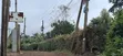 50x100 Residential Plot for Sale - Kinoo, Muthiga Kihumo - 4