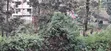 50x100 Residential Plot for Sale - Kinoo, Muthiga Kihumo - 5