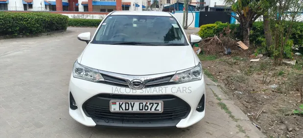 Toyota Corolla Fielder 2019 White - 1