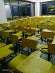 Local Made College Chairs - 2