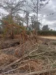 Ruai Quarter Acre Plot for Sale - 1