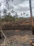 Ruai Quarter Acre Plot for Sale - 3