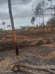 Ruai Quarter Acre Plot for Sale - 4