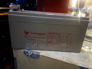 Sunnypex 100Ah Deep Cycle Solar Battery