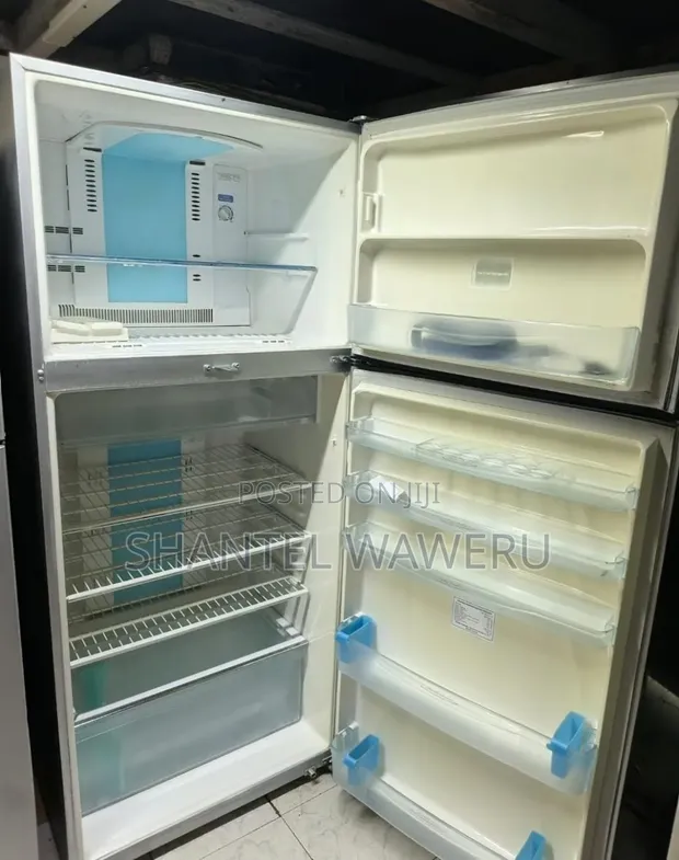 Premier Double Door Refrigerator 550L Silver - 1