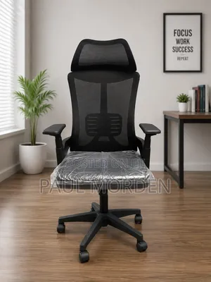 Brand New Ergonomic Office Chair with Headrest