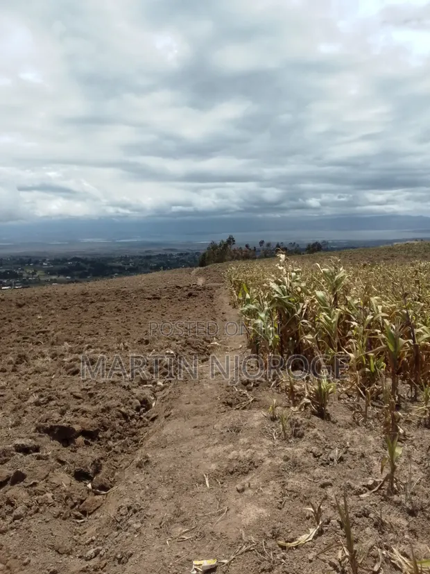Ekari 2 za Ardhi Zinauzwa, Upper Kinungi, Mwonekano wa Rift Valley - 1