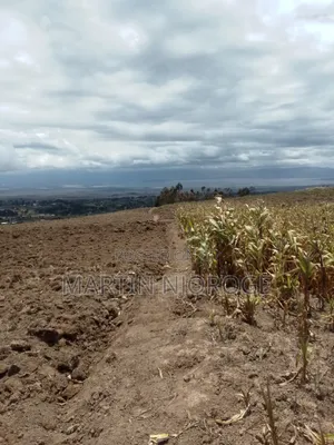 Ekari 2 za Ardhi Zinauzwa, Upper Kinungi, Mwonekano wa Rift Valley